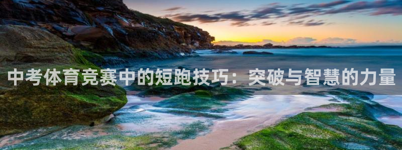 vsport体育在线官网