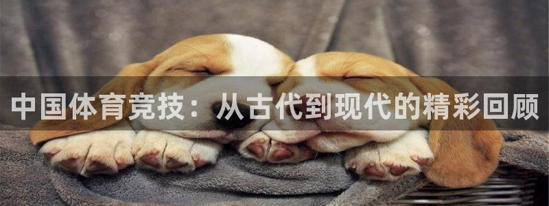 vsport体育：中国体育竞技：从古代到现代的精彩回顾