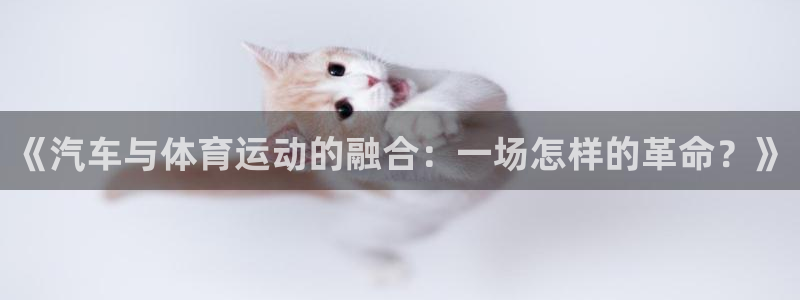vsport体育在线官网：《汽车与体育运动的融合：一场怎样的革命？》