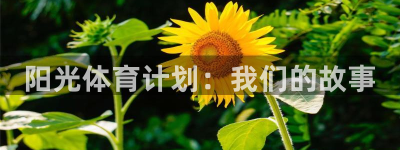 vsport体育：阳光体育计划：我们的故事