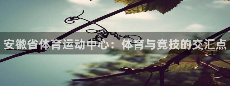 vsport体育在线官网：安徽省体育运动中心：体育与竞技的交汇点