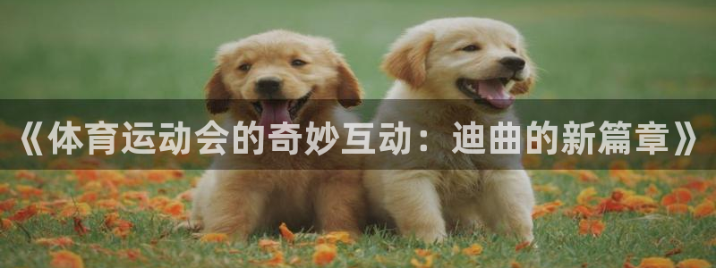 vsport体育：《体育运动会的奇妙互动：迪曲的新篇章》