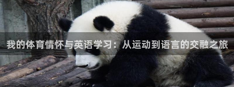 vsport体育在线官网：我的体育情怀与英语学习：从运动到语言的交融之旅