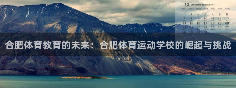 vsport体育在线官网：合肥体育教育的未来：合肥体育运动学校的崛起与挑战