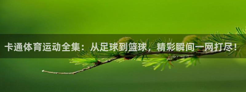 vsport体育在线官网：卡通体育运动全集：从足球到篮球，精彩瞬间一网打尽！