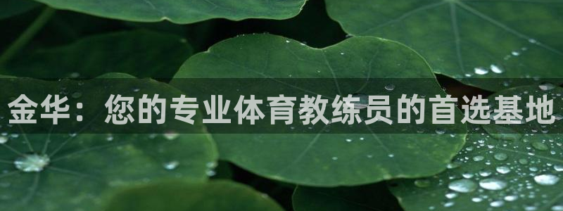 vsport体育：金华：您的专业体育教练员的首选基地