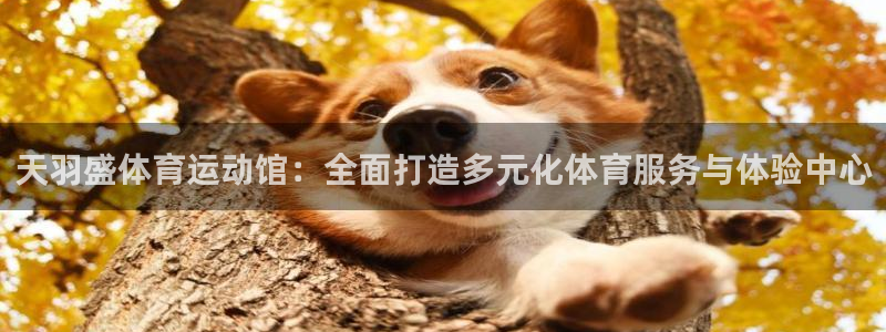vsport体育在线官网：天羽盛体育运动馆：全面打造多元化体育服务与体验中心