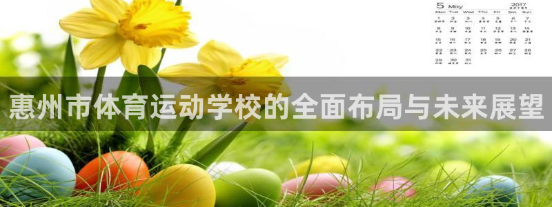 vsport体育在线官网：惠州市体育运动学校的全面布局与未来展望