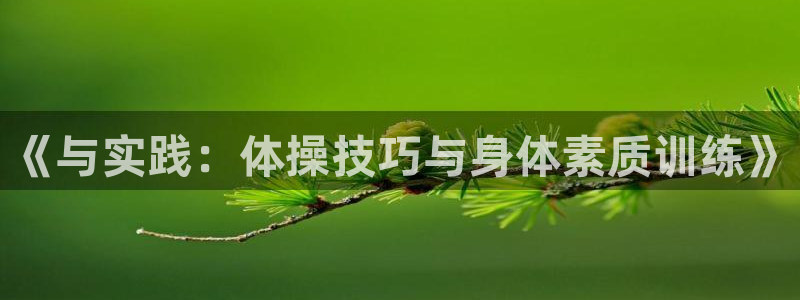 vsport体育在线官网：《与实践：体操技巧与身体素质训练》
